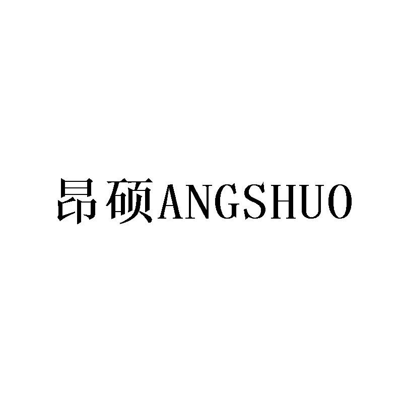 昂硕ANGSHUO图1